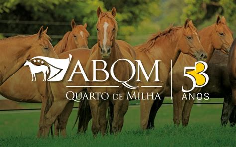 abqm|abqm cadastro.